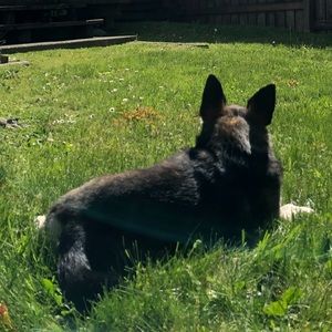 Meet your Posher, Maeve